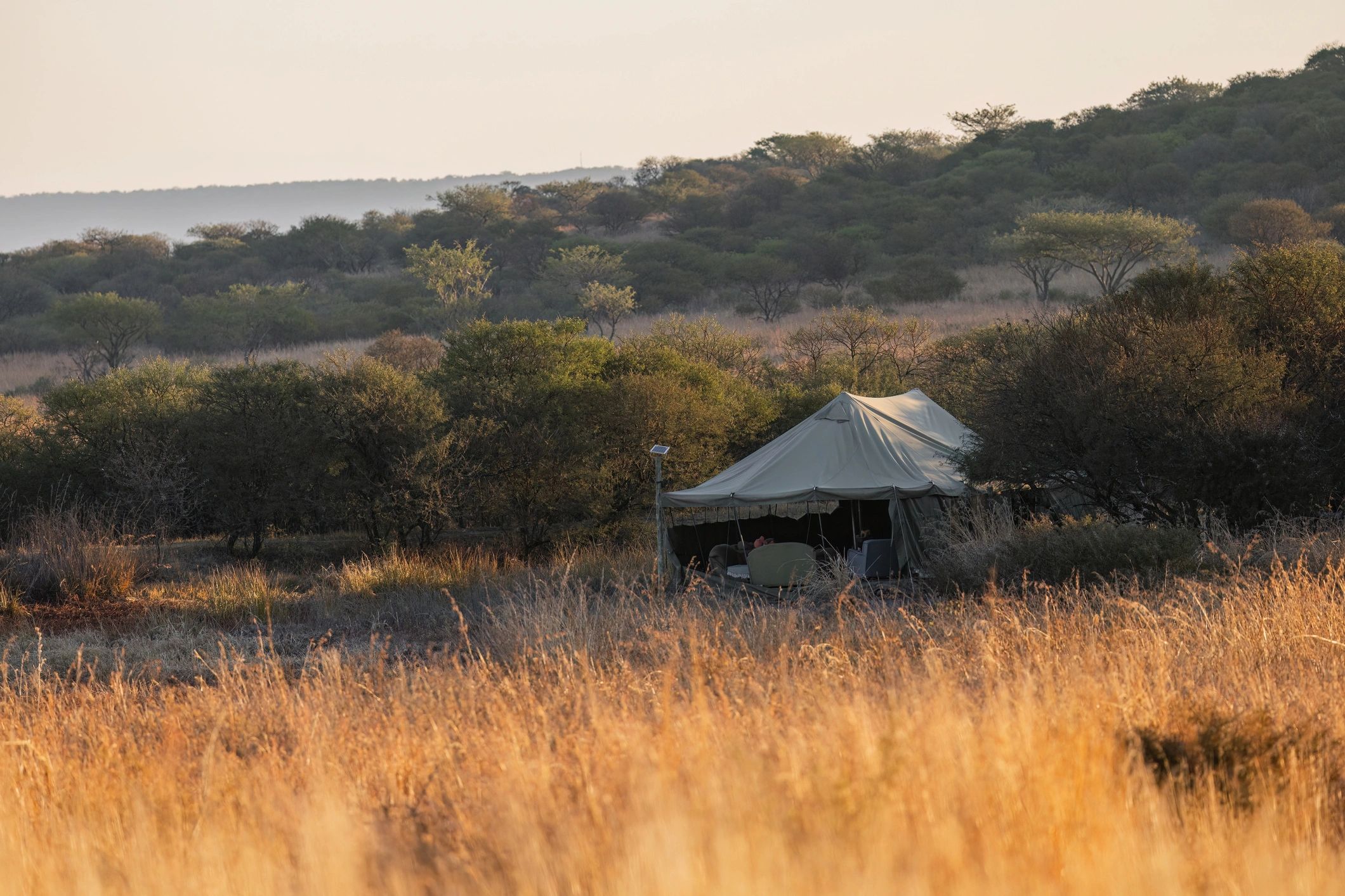 Luxury safari tent in grassland at dusk
