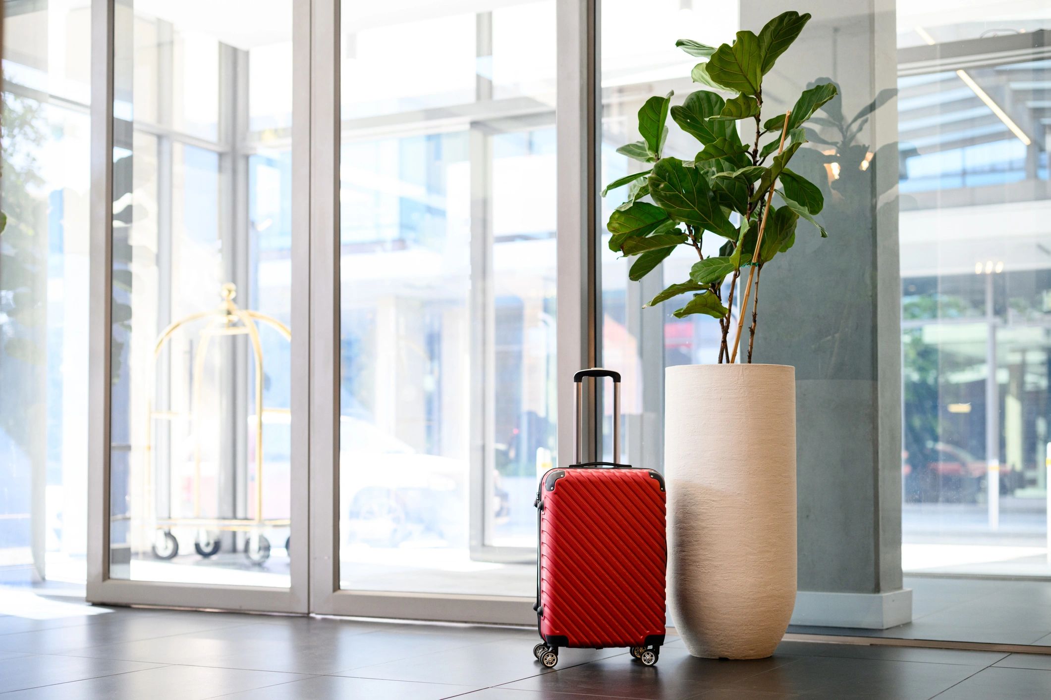 Suitcase at stylish hotel entrance