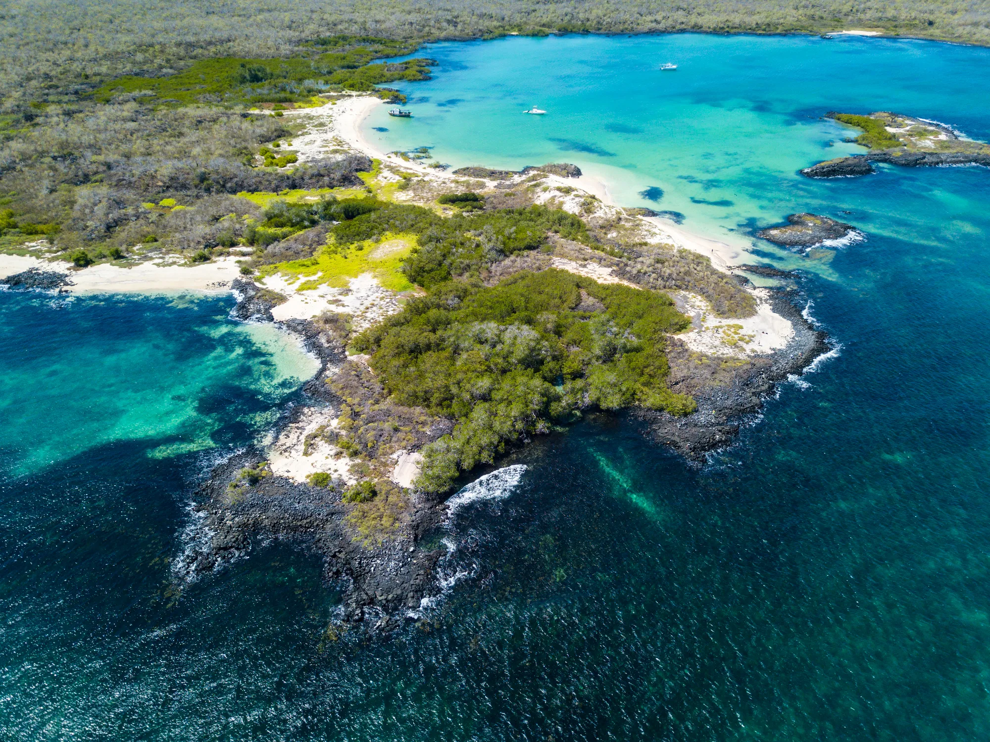 The Galápagos Islands