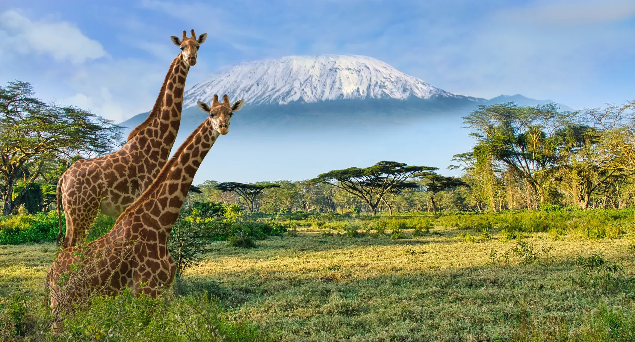 Kenya
