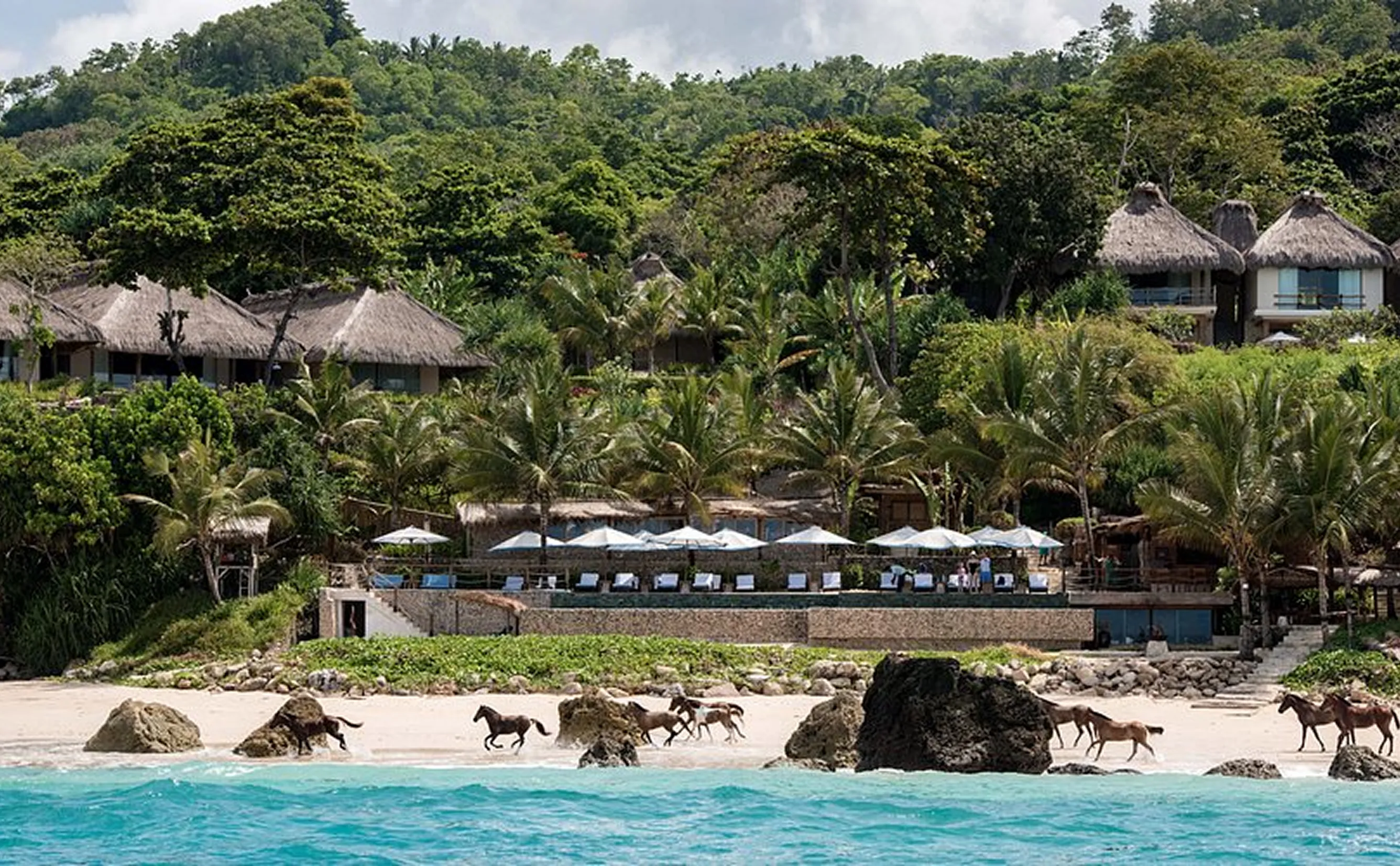 Horses running along tropical beachfront resort