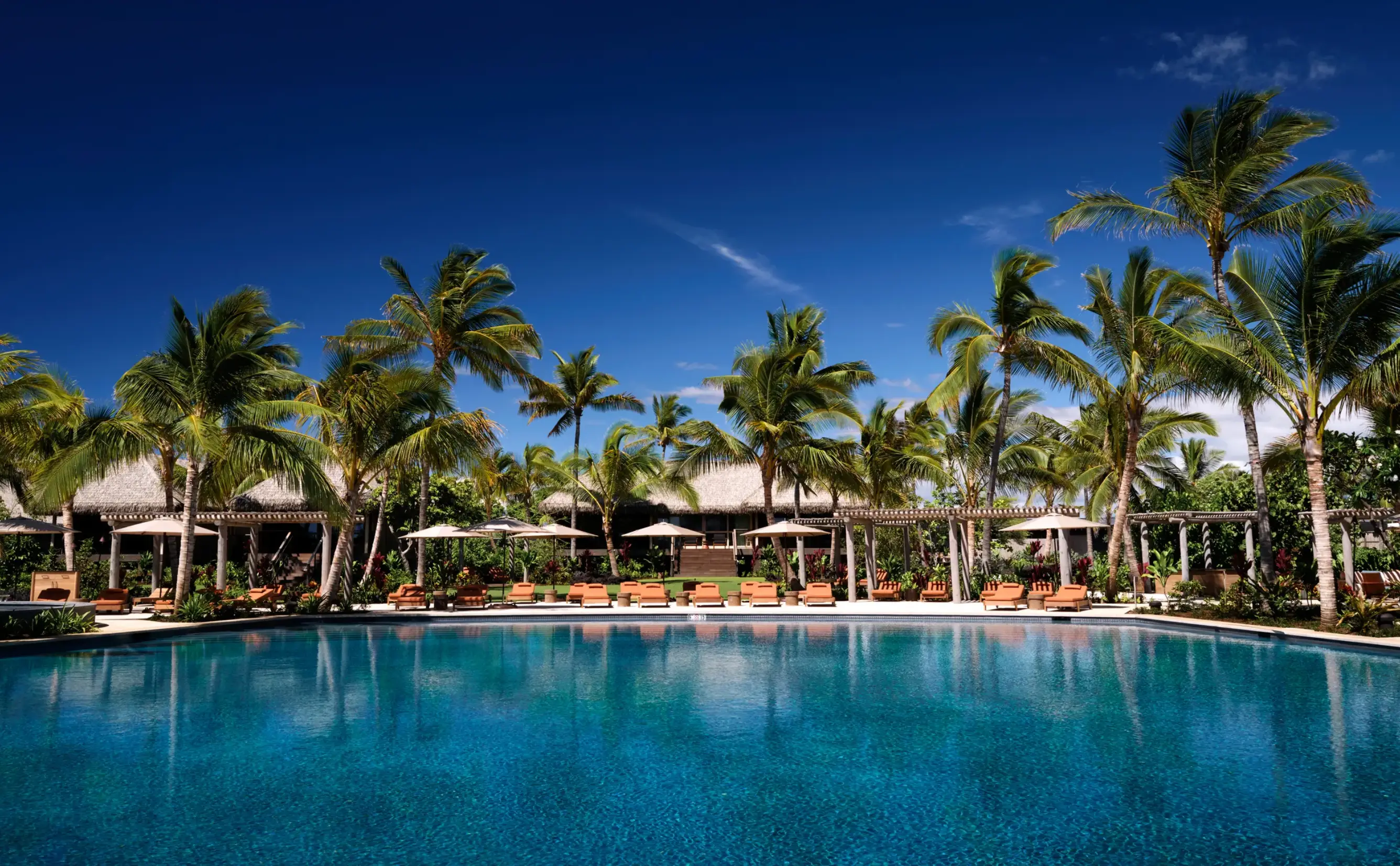 Tropical resort pool with palm trees